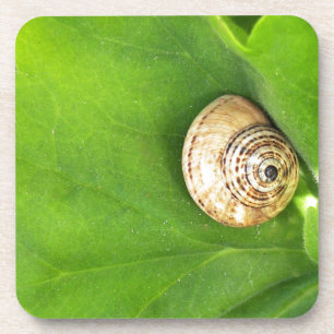 Porta-copo caracol