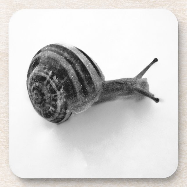 Porta-copo Caracol B&W (Frente)