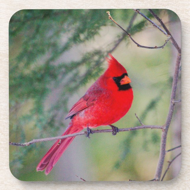 Porta-copo Cardinal Crimson (Frente)