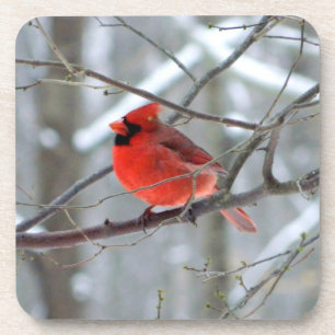 Porta-copo Cardinal de inverno do chipset