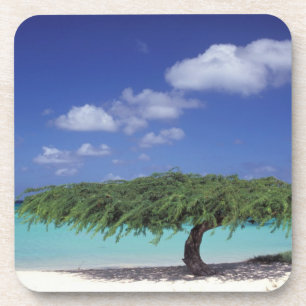 Porta-copo Caribe, Aruba. Praia da Águia