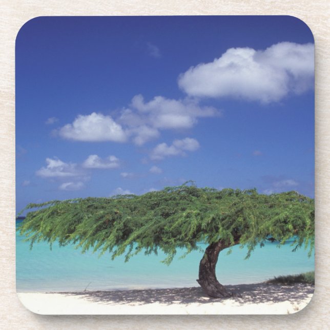 Porta-copo Caribe, Aruba. Praia Eagle (Frente)