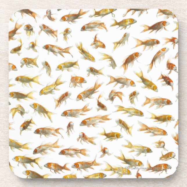 Porta-copo Carpa (Cyprinus carpio) 2 (Frente)