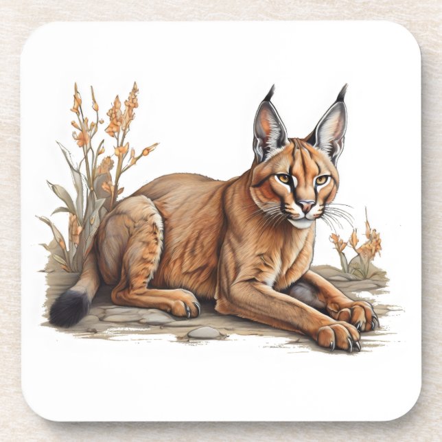 Porta-copo Cartão postal (Frente)