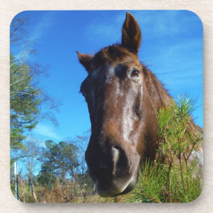 Porta-copo Castanho e Creme Corante Canto Azul