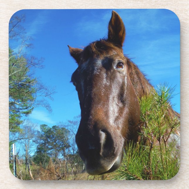 Porta-copo Castanho e Creme Corante Canto Azul (Frente)