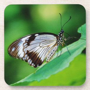 Porta-copo Castanho escuro e borboleta Cinza