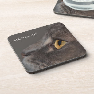 Porta-copo Cat Eye-Macro por Shirley Taylor