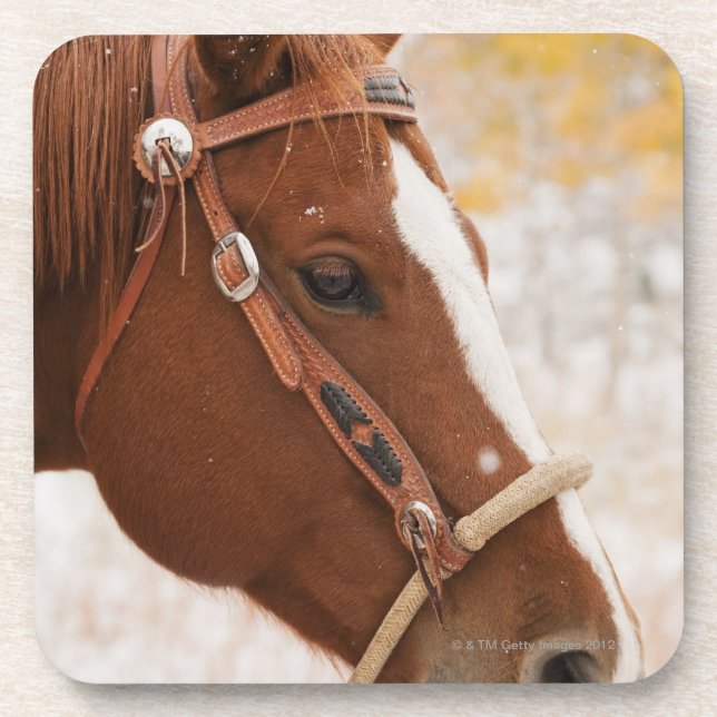 Porta-copo Cavalo (Frente)