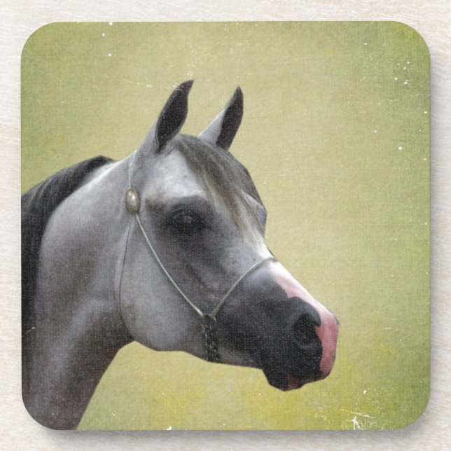 Porta-copo Cavalo Árabe Grunge (Frente)