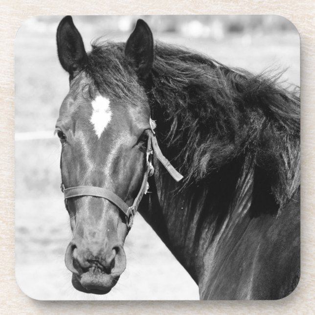 Porta-copo Cavalo Branco Negro (Frente)