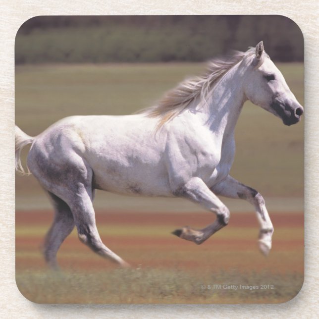 Porta-copo Cavalo branco que funciona no campo (Frente)