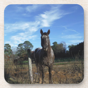 Porta-copo Cavalo castanho de chocolate em azul