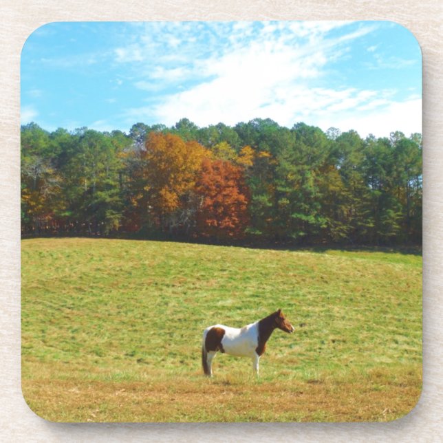 Porta-copo Cavalo castanho e branco,árvores de outono,céu azu (Frente)