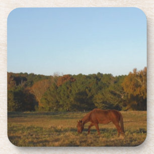 Porta-copo Cavalo castanho no Sol