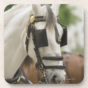 Porta-copo Cavalo com antolhos