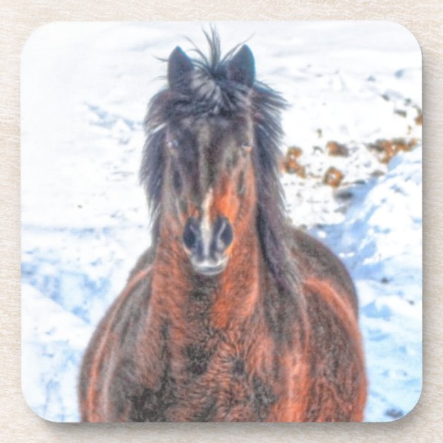 Porta-copo Cavalo de inverno em Snowy Field (Frente)