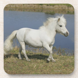 Porta-copo Cavalo diminuto que funciona perto da água