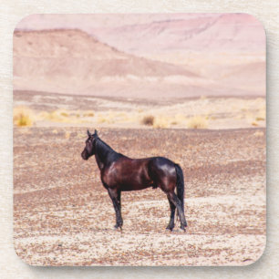 Porta-copo Cavalo do Deserto P8664