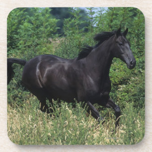 Porta-copo Cavalo do puro-sangue que funciona na grama