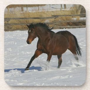 Porta-copo Cavalo do puro-sangue que funciona na neve