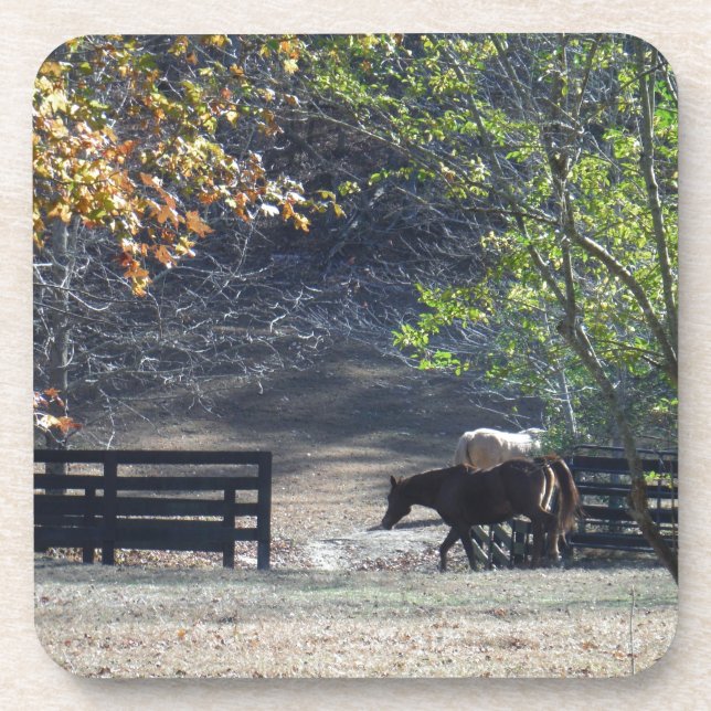 Porta-copo Cavalo Marrom andando pela cerca (Frente)