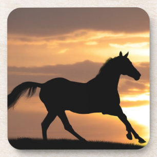 Porta-copo Cavalo no por do sol