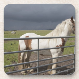 Porta-copo Cavalo perto de uma cerca
