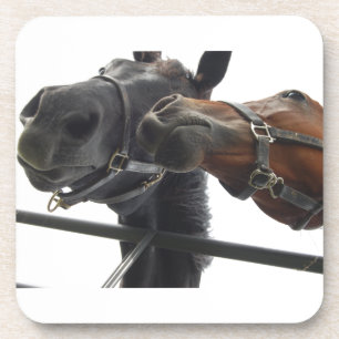 Porta-copo Cavalo Por Aí