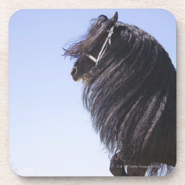 Porta-copo cavalo preto com juba longa (Frente)
