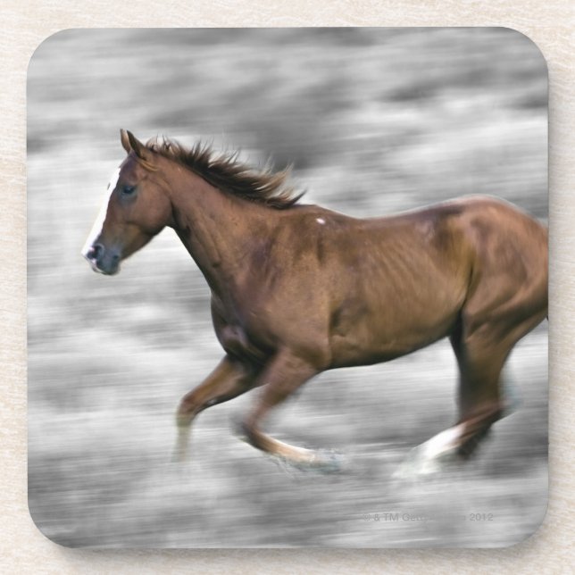 Porta-copo Cavalo Running (Frente)