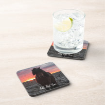 Cavalo Selvagem Mustang no Sol