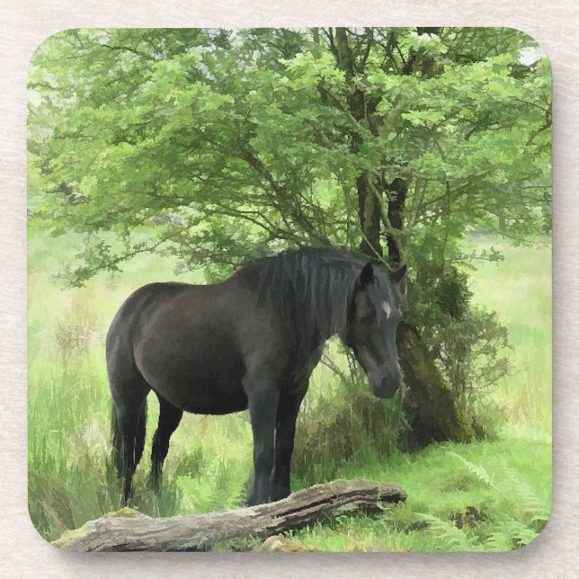 PORTA-COPO CAVALOS (Frente)