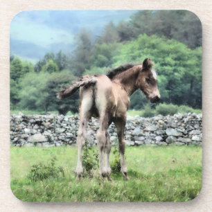 PORTA-COPO CAVALOS