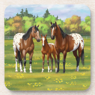 Porta-copo Cavalos Appaloosa De Baía Castanha Em Pastas De Ve