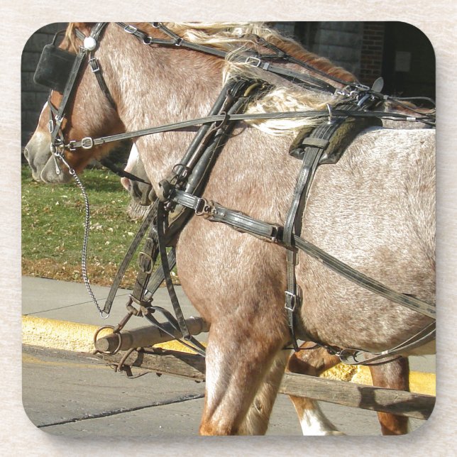 Porta-copo Cavalos bonito (Frente)