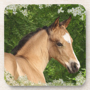 Porta-copo Cavalos da fantasia: Flores