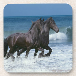 Porta-copo Cavalos da fantasia: Frisões & mar
