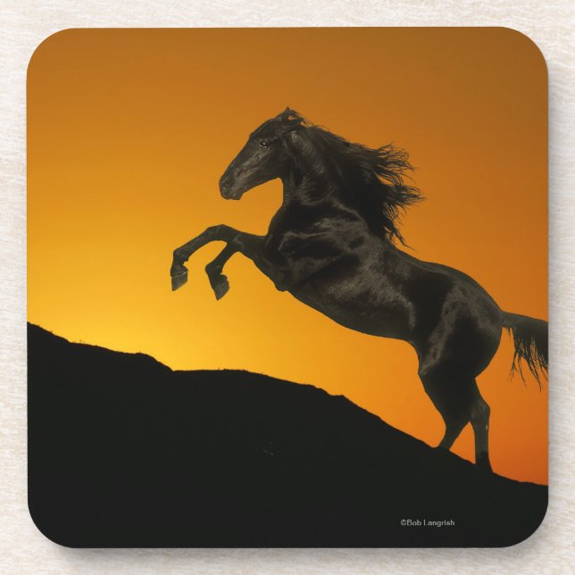 Porta-copo Cavalos da fantasia: Por do sol da montanha (Frente)