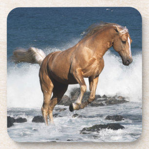Porta-copo Cavalos da fantasia: Respingo do verão