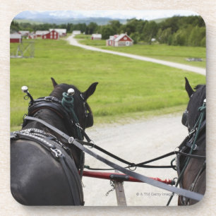 Porta-copo Cavalos de Perchon que puxam o carro contra