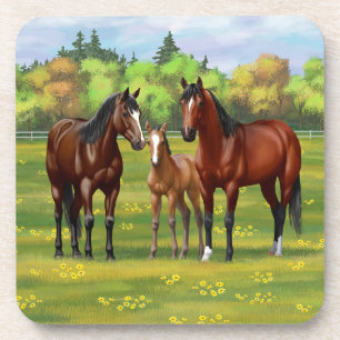 Porta-copo Cavalos De Quarto De Baía De Brown Em Pastagem De