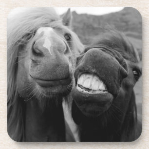 Porta-copo Cavalos de sorriso das imagens   de Getty