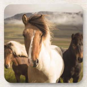 Porta-copo Cavalos nas Montanhas Lindos e Majestosos