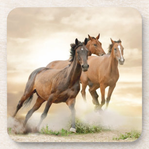 Porta-copo Cavalos no por do sol