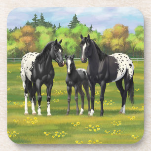 Porta-copo Cavalos Pretos De Appaloosa Em Pasto De Verão