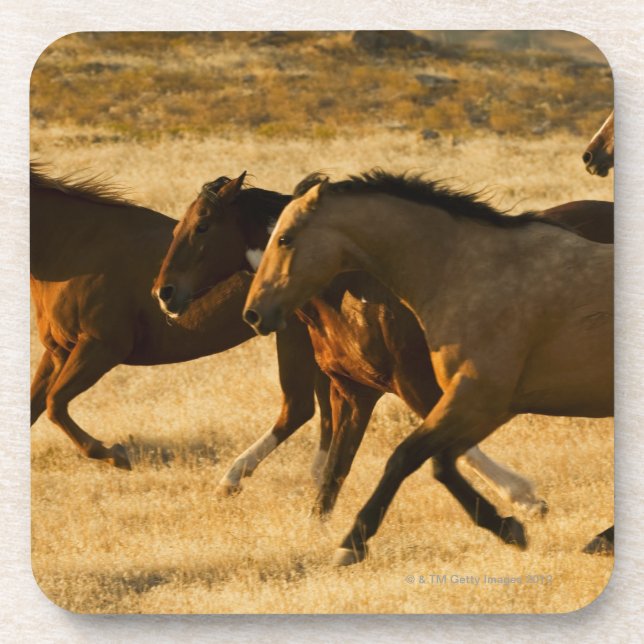 Porta-copo Cavalos selvagens (Frente)