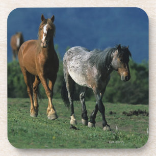 Porta-copo Cavalos selvagens do mustang