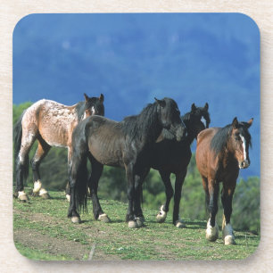 Porta-copo Cavalos selvagens do mustang nas montanhas