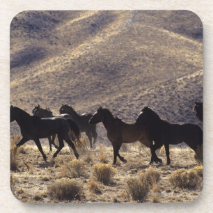 Porta-copo Cavalos selvagens do mustang no deserto 1